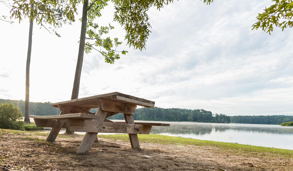 Picnic and pavilions